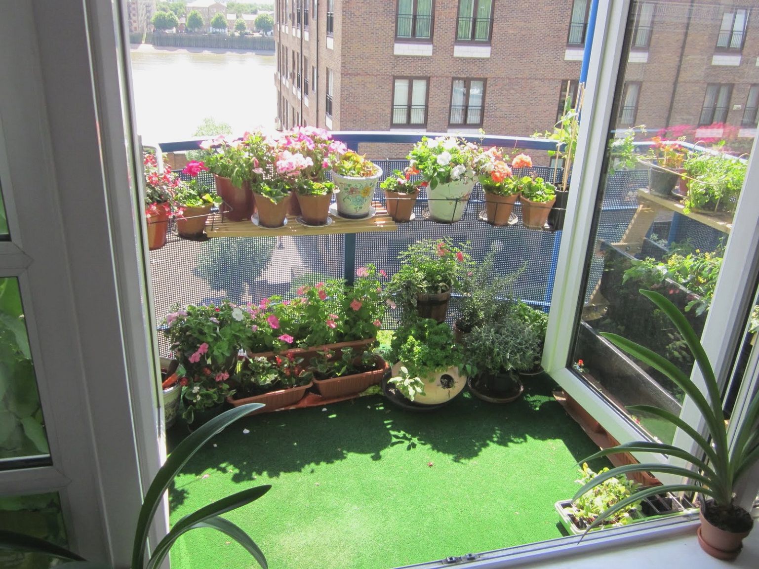 Balcony Garden